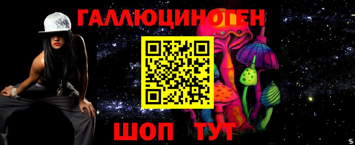 Коркино  Псилоцибиновые грибы прущие грибы  Вход с VPN  Галлюциногенные грибы прущие грибы 
